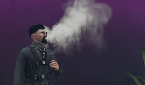 Showcase 4
